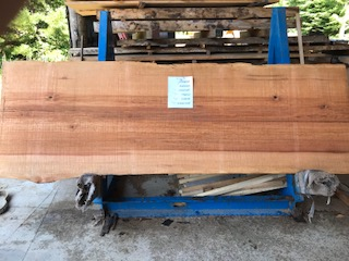 Hemlock slab 6164